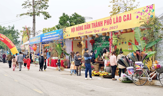 Lào Cai: Nhiều hoạt động hân hoan chào đón năm mới 2023