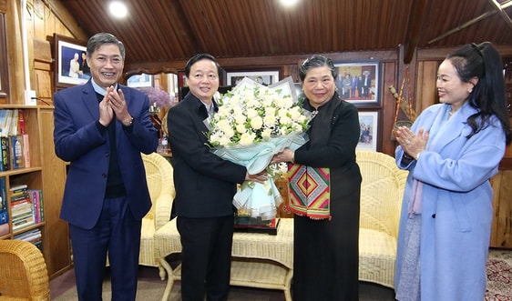 Phó Thủ tướng, Bộ trưởng Bộ TN&MT Trần Hồng Hà thăm, chúc Tết đồng chí Tòng Thị Phóng