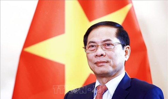 Bộ trưởng Bùi Thanh Sơn: Thúc đẩy nền ngoại giao hiện đại, toàn diện trong bối cảnh mới