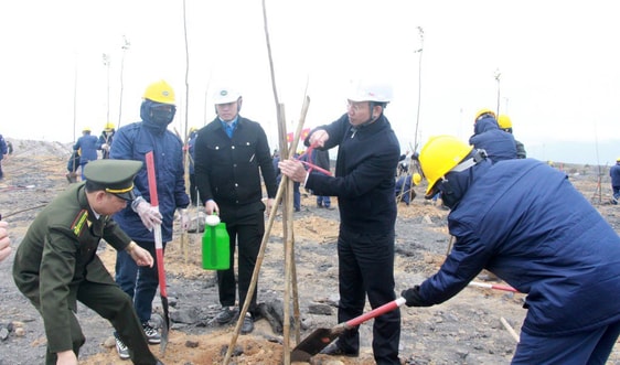 Quảng Ninh: Phát động "Tết trồng cây đời đời nhớ ơn Bác Hồ" Xuân Quý Mão 2023 