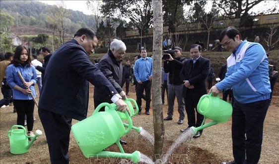 Trung ương Đoàn phát động Tết trồng cây 'Đời đời nhớ ơn Bác Hồ' Xuân Quý Mão