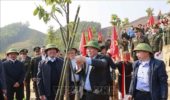 Chủ tịch Quốc hội dự Lễ phát động thi đua Tết trồng cây tại Tuyên Quang
