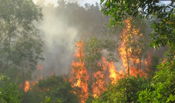 Văn Bàn - Lào Cai: Nỗ lực dập tắt các điểm cháy, tránh lan vào rừng
