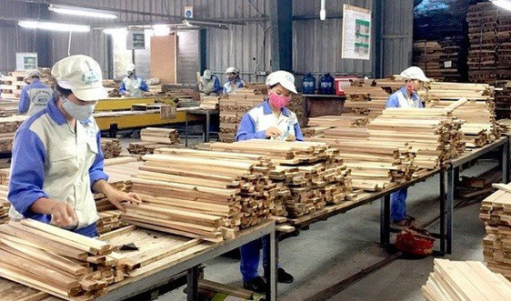Phát triển kinh tế tuần hoàn trong ngành chế biến gỗ