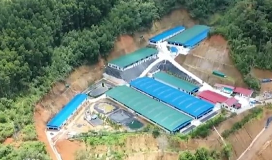 Lạng Sơn: Xử phạt 2 doanh nghiệp gần 900 triệu đồng do vi phạm về lĩnh vực môi trường