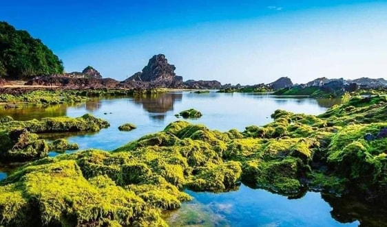 Phải lòng Lộ Diêu