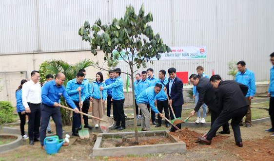 Thanh niên Tập đoàn Hoá chất Việt Nam trồng cây vì môi trường xanh-sạch-đẹp