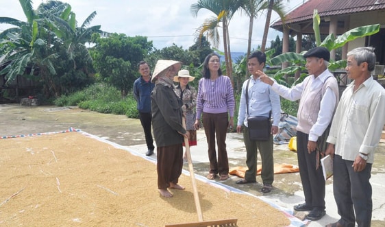 Già làng hiến đất mở đường trên vùng cao A Lưới