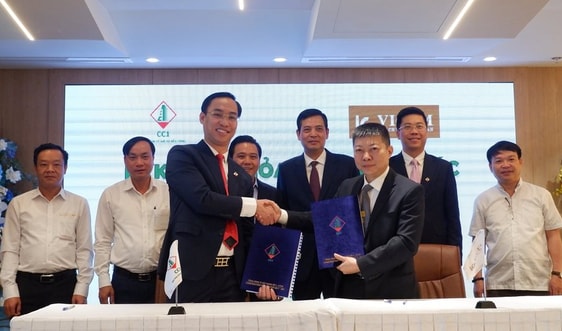VICEM và CCI ký kết thỏa thuận hợp tác