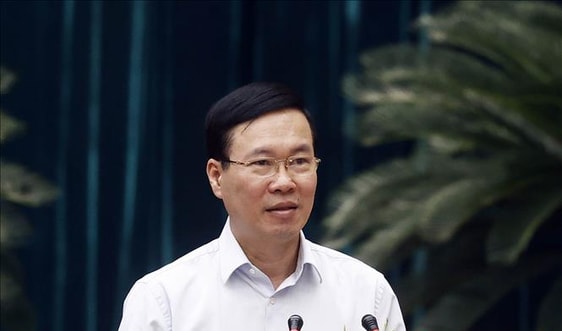 Chủ tịch nước: TP Hồ Chí Minh tiếp tục quán triệt, thực hiện hiệu quả Nghị quyết Trung ương 8 Khóa XI