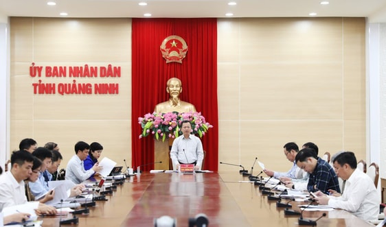 UBND tỉnh Quảng Ninh lấy ý kiến tham gia dự thảo Luật Đất đai (sửa đổi) 