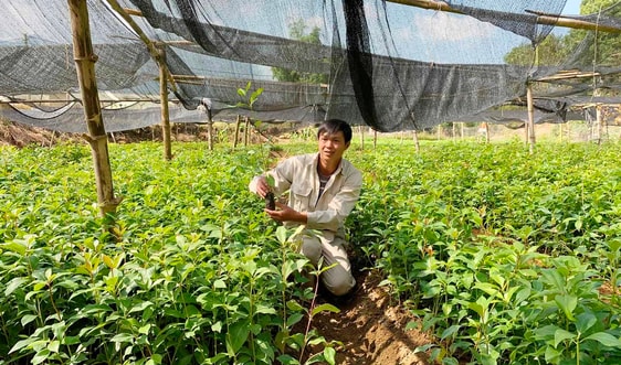 Những kinh nghiệm hay từ một tỉnh đầu tiên hoàn thành mục tiêu giảm nghèo bền vững 