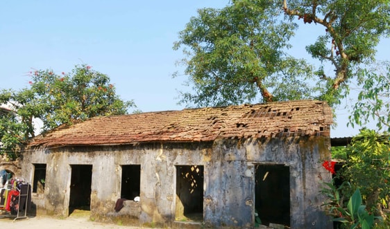 Đình làng An Cựu “kêu cứu”