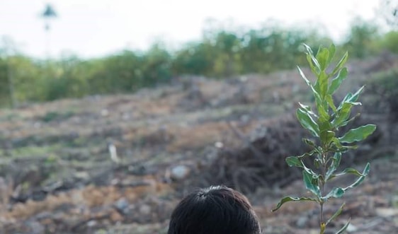 Người đảng viên vươn lên thoát nghèo trên vùng đất khó
