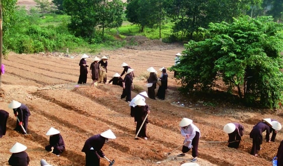 Bảo vệ môi trường trong quan niệm Phật giáo