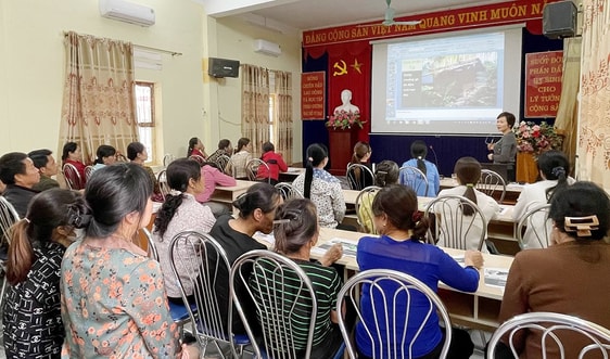 Lào Cai tập huấn ứng dụng đệm lót sinh học trong chăn nuôi gà