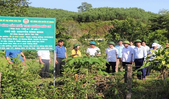 Huyện Vũ Quang (Hà Tĩnh): Mạnh dạn đưa nhiều mô hình nông nghiệp hữu cơ vào áp dụng