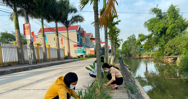 Mở rộng phong trào trồng cây xanh bảo vệ môi trường sinh thái