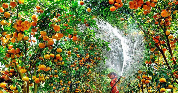Read more about the article Đào giếng lấy nước sản xuất nông nghiệp trái phép bị phạt như thế nào?