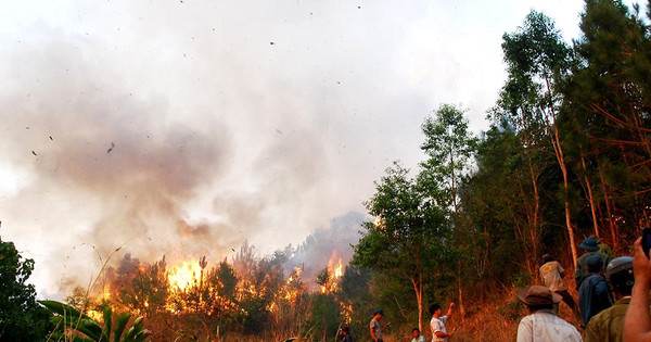 Read more about the article Đốt nương, rẫy gây cháy rừng bị xử phạt như thế nào