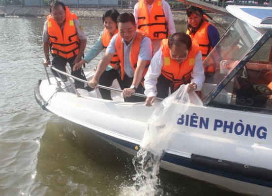 TPHCM: Thả cá để cải thiện môi trường nước kênh Tàu Hủ - Bến Nghé