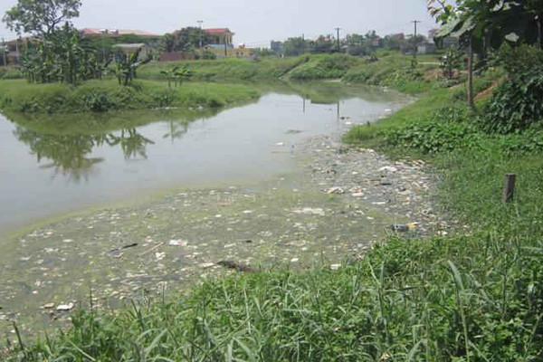Cần đẩy nhanh tiến độ dự án xử lý nước thải làng nghề Thanh Thùy