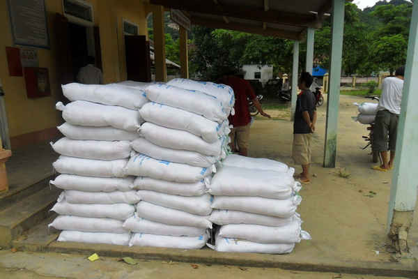 Nghệ An: Phân bổ gần 1,6 nghìn tấn gạo cứu đói mùa giáp hạt