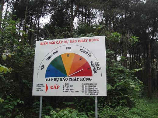 Cảnh báo cháy rừng cấp cực kỳ nguy hiểm tại 9 điểm rừng ở Đồng Tháp