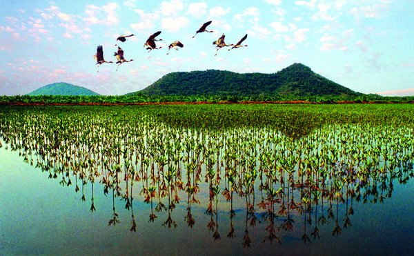 Kiên Giang hưởng ứng "Tuần lễ du lịch xanh đồng bằng sông Cửu Long năm 2015"