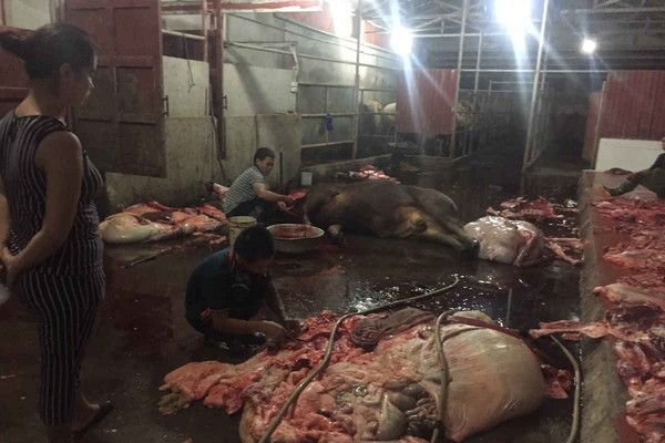 Làng giết mổ gia súc Phúc Lâm (Bắc Giang): Vẫn xả thải bừa bãi