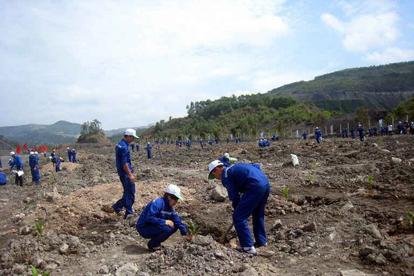 Tập đoàn Công nghiệp Than - Khoáng sản Việt Nam:  Ưu tiên số 1 cho các dự án xử lý môi trường sau mưa lũ