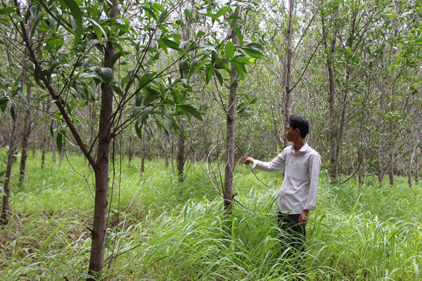 Đắk Lắk:  Chật vật vì thiếu đất sản xuất