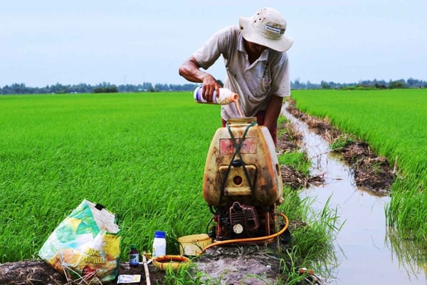 Bước tiến mới trong quản lý chất hữu cơ khó phân hủy