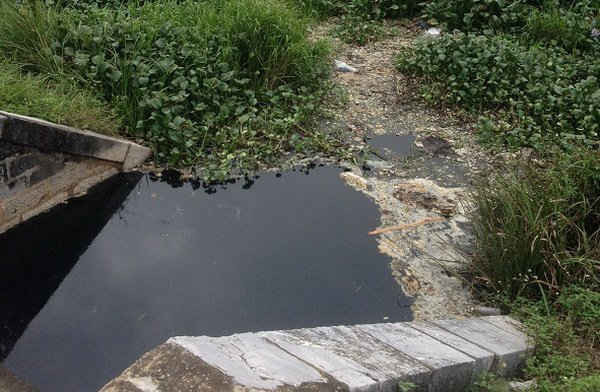 Trạm xử lý nước thải KCN Nam Cấm xả nước thải chưa xử lý ra môi trường