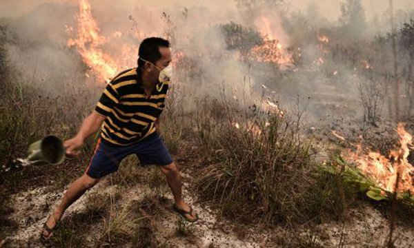 Indonesia: Cháy rừng tồi tệ nhất trong lịch sử
