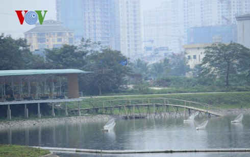 Cty Bắc Hà biến hồ điều hòa trong công viên Yên Sở thành sân tập golf
