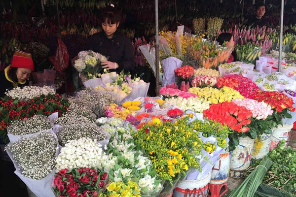 Chợ hoa Quảng An trầm lắng ngày giáp Tết