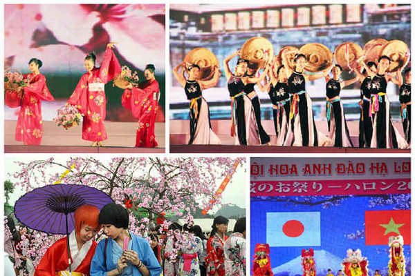 Quảng Ninh:  Lễ hội hoa anh đào -  mai vàng Yên Tử năm 2016