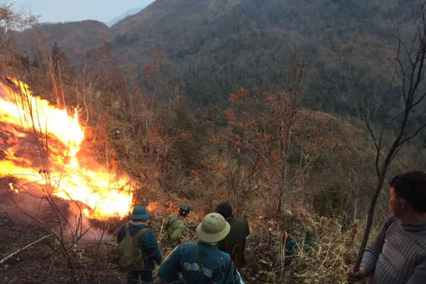 Lào Cai kịp thời dập tắt 3 vụ cháy rừng khu vực núi cao