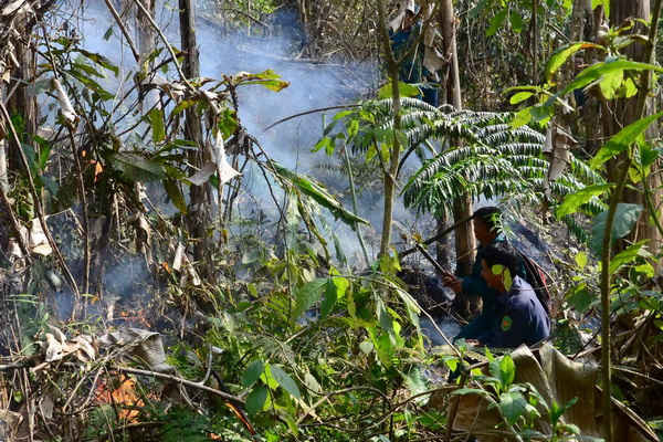 Điện Biên: Rừng phòng hộ đầu nguồn Nà Tấu bị thiêu rụi