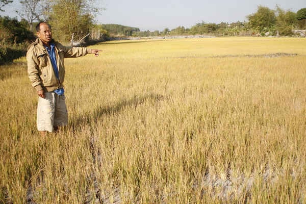 Kon Tum: Công bố hạn hán cấp độ 1