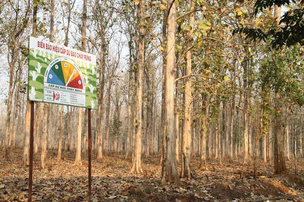 Đắk Lắk: Cảnh báo cháy rừng cấp cực kỳ nguy hiểm, lấy phòng là chính