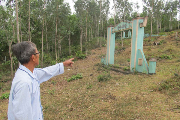 Hàng loạt sổ đỏ đất lâm nghiệp ở Quảng Nam bị "treo": Hoàn thành gấp trong quý 2
