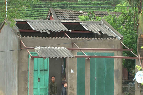 Lai Châu: Tan hoang sau gió lốc