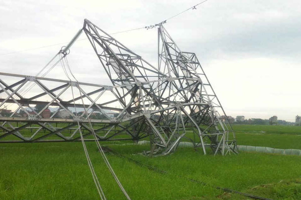 Phó Thủ tướng Trịnh Đình Dũng chỉ đạo tìm nguyên nhân đổ cột điện đường dây 500kV