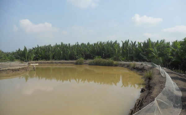 Nộp tiền thuê đất đối với đất nuôi trồng thủy sản.