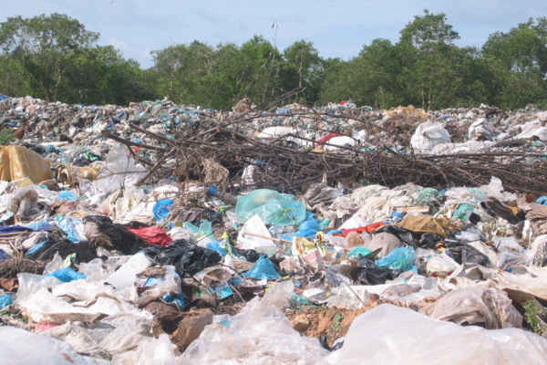 Đồng Tháp: Nhiều khó khăn trong xử lý rác thải nguy hại