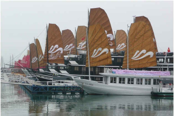 500 du thuyền Hạ Long: Vươn tầm ra biển lớn