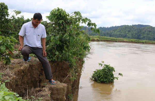 Sông Krông Nô sạt lở mạnh vì thủy điện