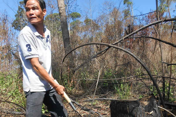 Tiếp "kỳ án" phá rừng ở Lâm Đồng: Đọc cho bị can nghe Kết luận điều tra bổ sung